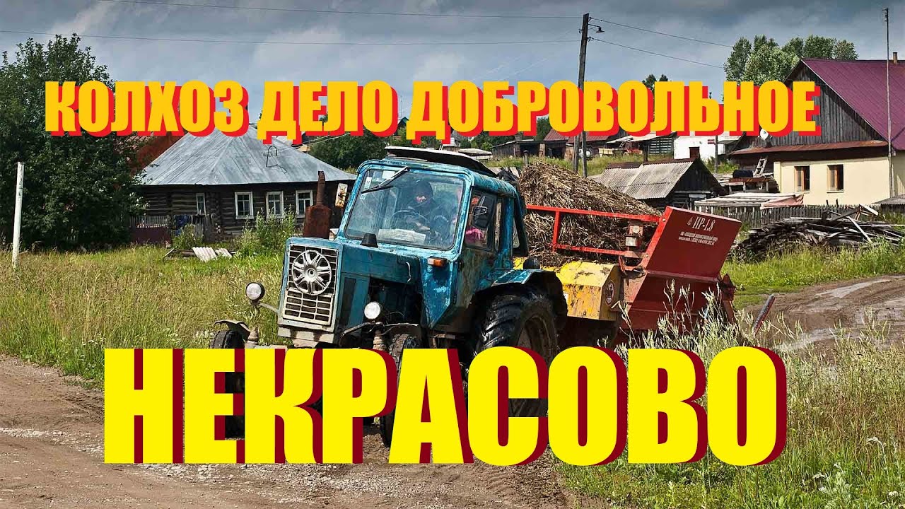 СЕКРЕТНАЯ ЖЕМЧУЖИНА КАЛИНИНГРАДА-АГРОПАРК НЕКРАСОВО ПОЛЕ/ХОТЯ КОЛХОЗ-И ЕСТЬ КОЛХОЗ/БАЛТИЙСК-САЛАКА/