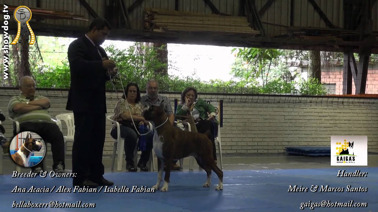 Aelius Maximus Bellaboxer   FCC   Abril 2012