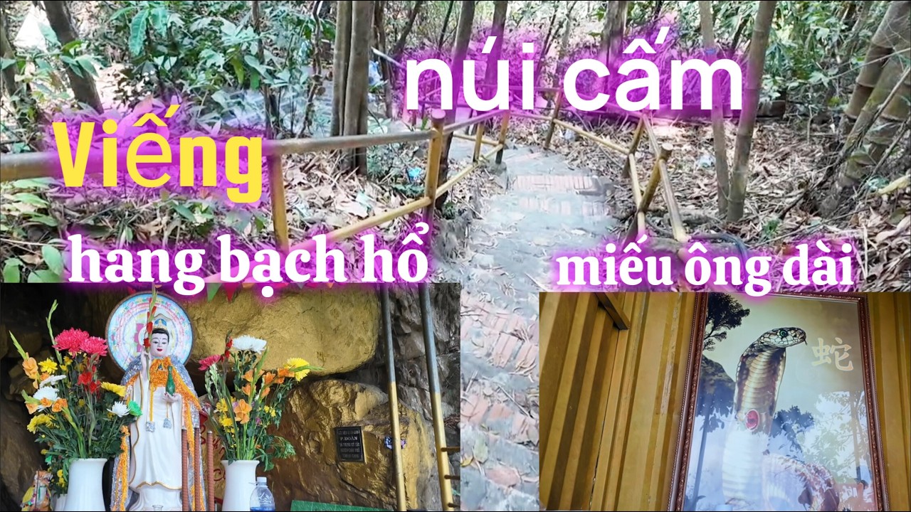 Tham Quan Núi Cấm - Hang Ông Hổ - Miếu Ông Dài