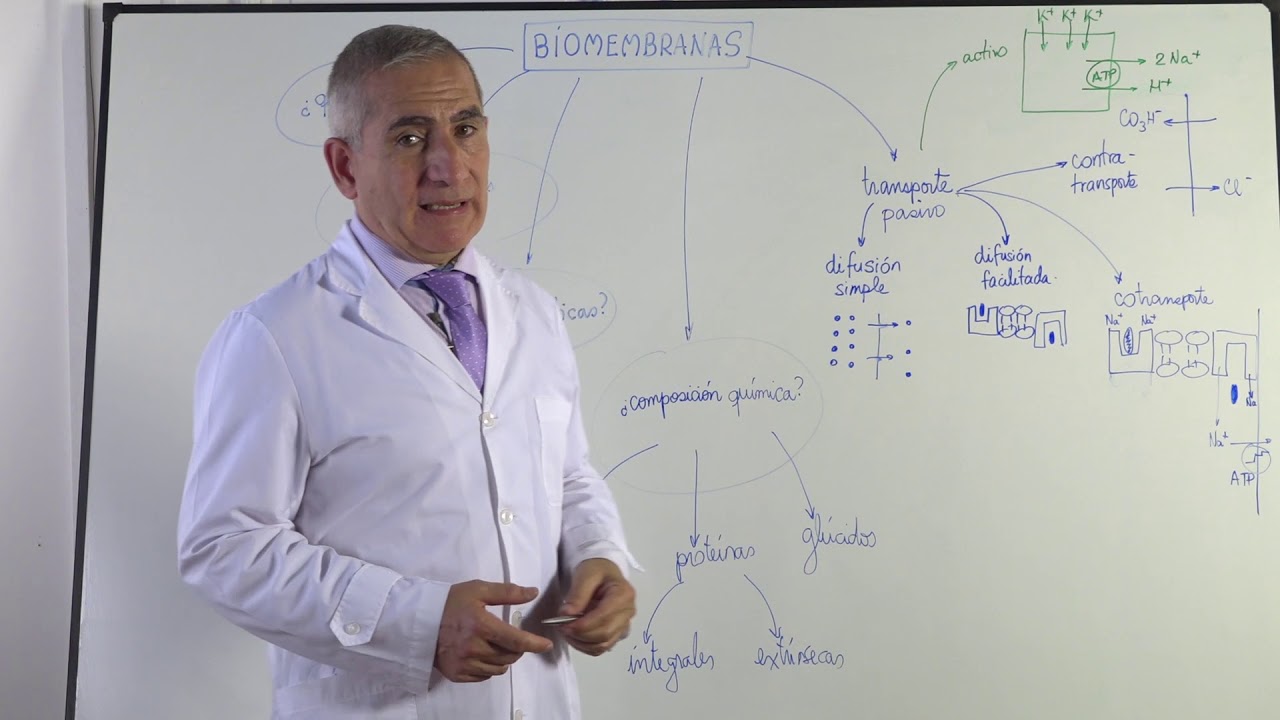 BIOMEMBRANAS