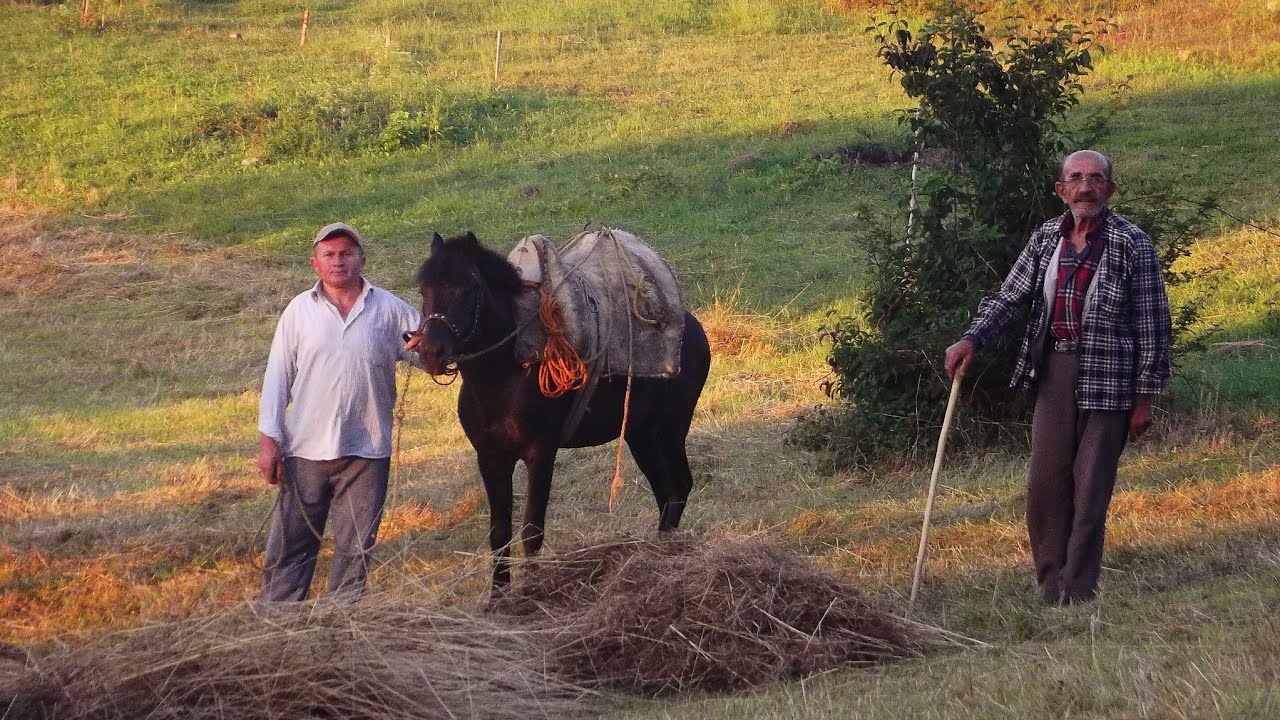 KASTAMONU'nun GÜZEL KÖYÜ    KÜRE KESEPINAR'ın TANITIM VİDEOSU