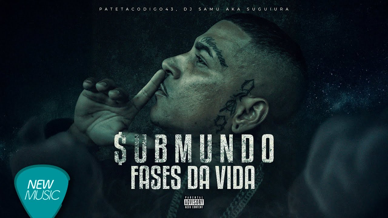 Pateta c&oacute;digo 43, Fg vdl, Fases da vida ( Visualizer )
