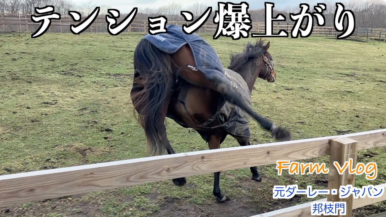 【今年もありがとうございました】下半期編55選