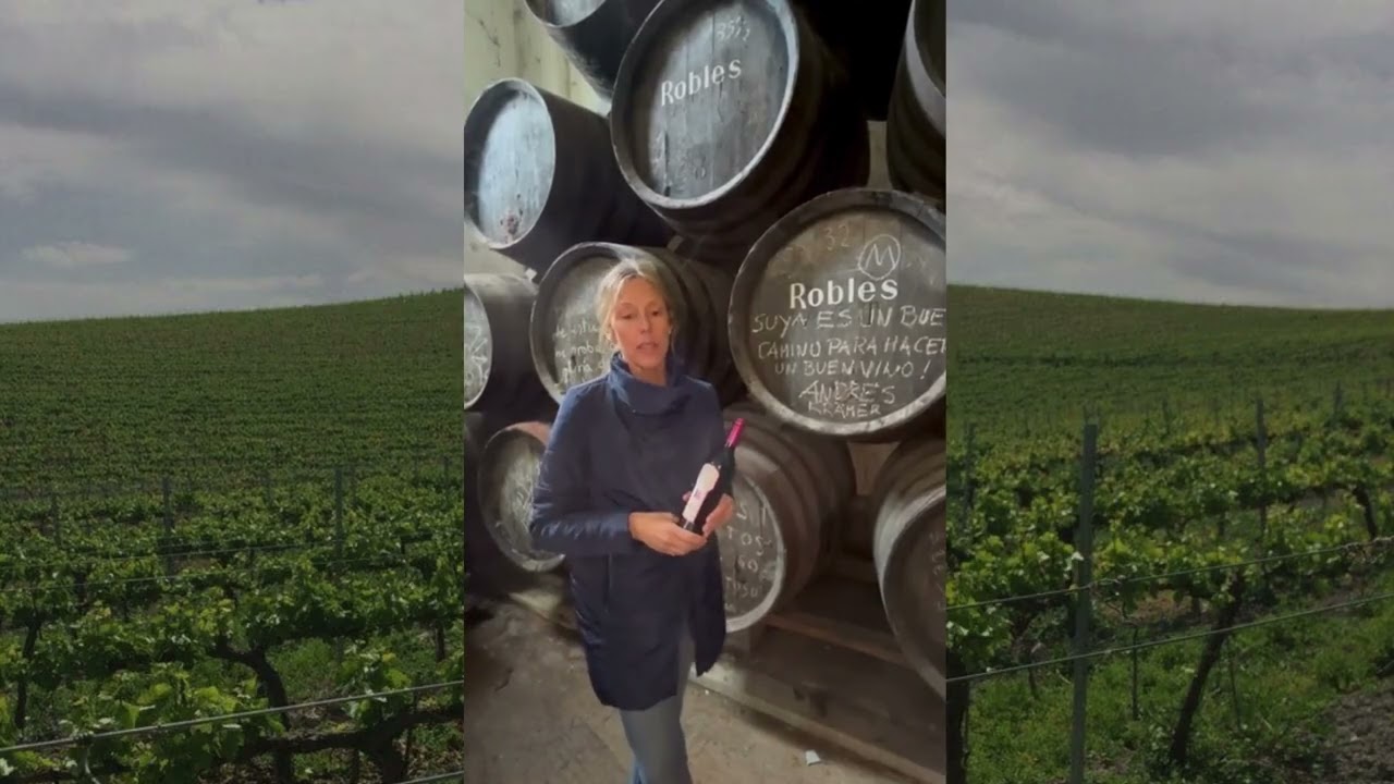 Rocio Marquez from Bodegas Robles | Women In Wine | Humble Grape
