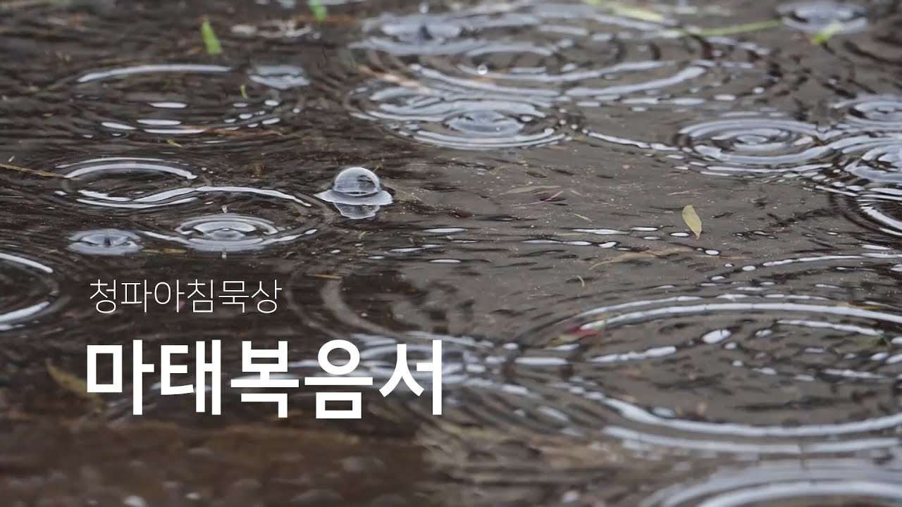 250716(수) 마태복음서 12장