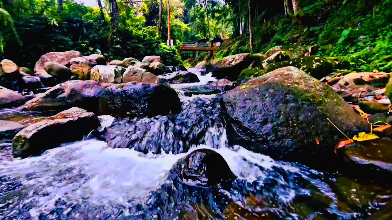 Soft River Sounds for Insomnia Relief | Natural Ambience