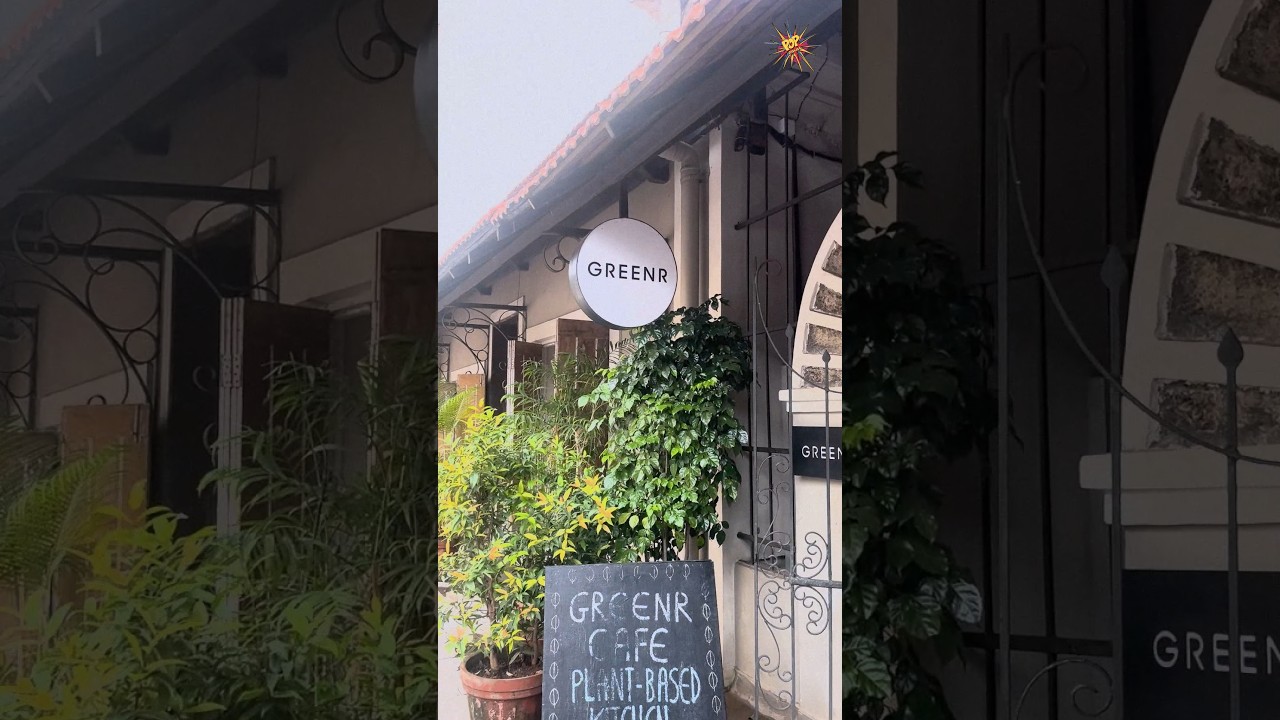 Immersed in nature&rsquo;s embrace at Greenr caf&eacute; 🌿☕ |📍Greenr Cafe - Goa