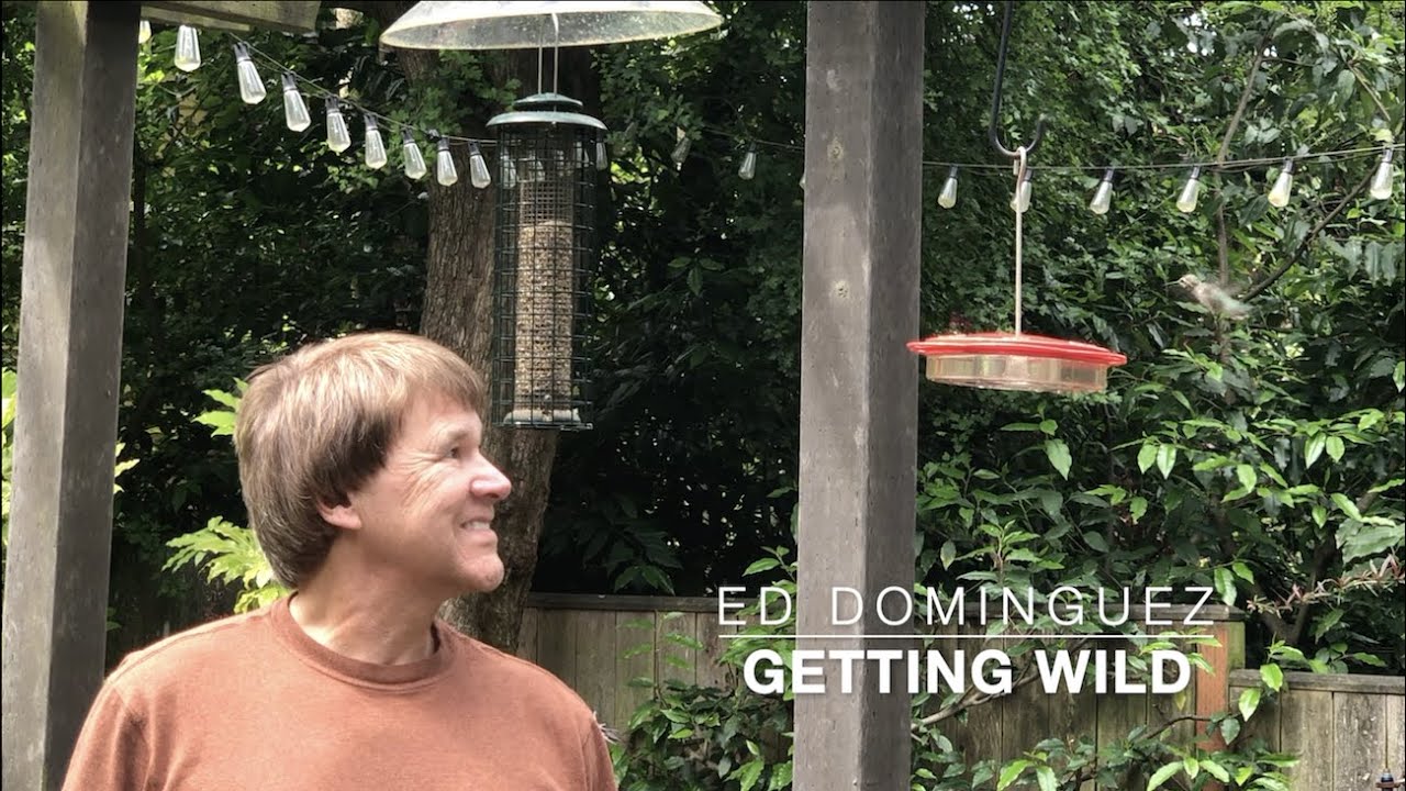 Backyard Bird Feeding Station