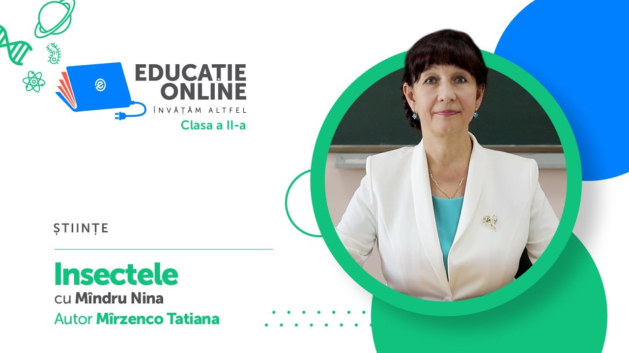 Științe, Clasa a II-a, Insectele