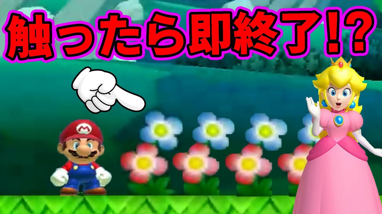 オブジェクトの花に触れると即終了のコースが存在した...