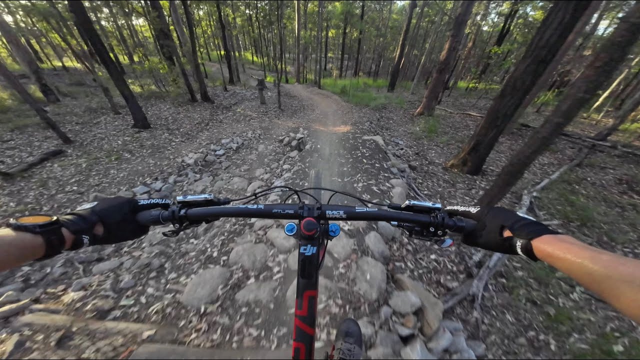 Bunyaville MTB Trails - Updates to Wallaby | 2025