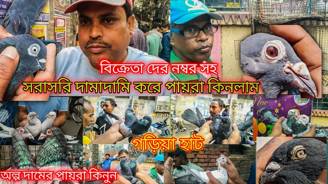 Kolkata Cheapest Pet Market of Garia 🛑 Live Bargaining ll Monday & Friday 12Pm-5pm