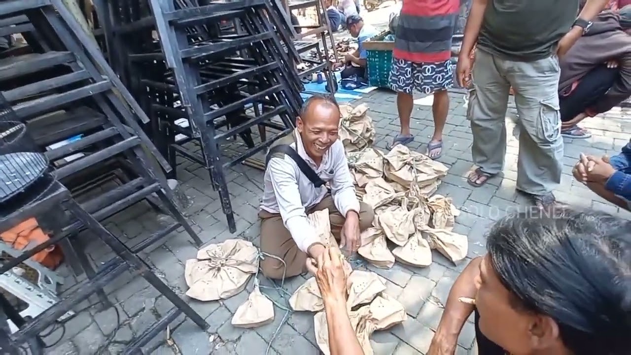 Kakek Pencari Burung Gunung | Dijual di Pasar Burung Tradisional Jawa