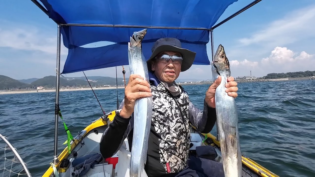 太刀魚はフォースマスター600で楽釣+ノマセでメタボハマチ