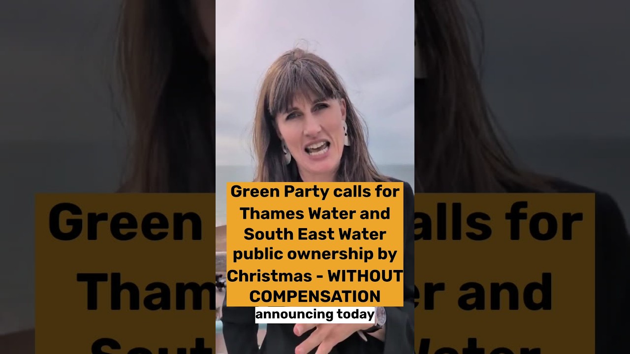 &laquo;Партия зелёных&raquo; призывает перевести Thames Water и South East Water в государственную собственность