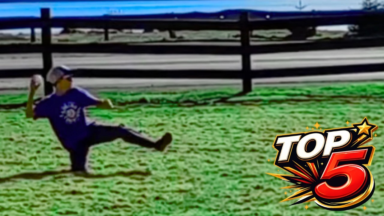 TOP 5 DEFENSIVE PLAYS of 2025 | The Alaska Wiffle Ball League