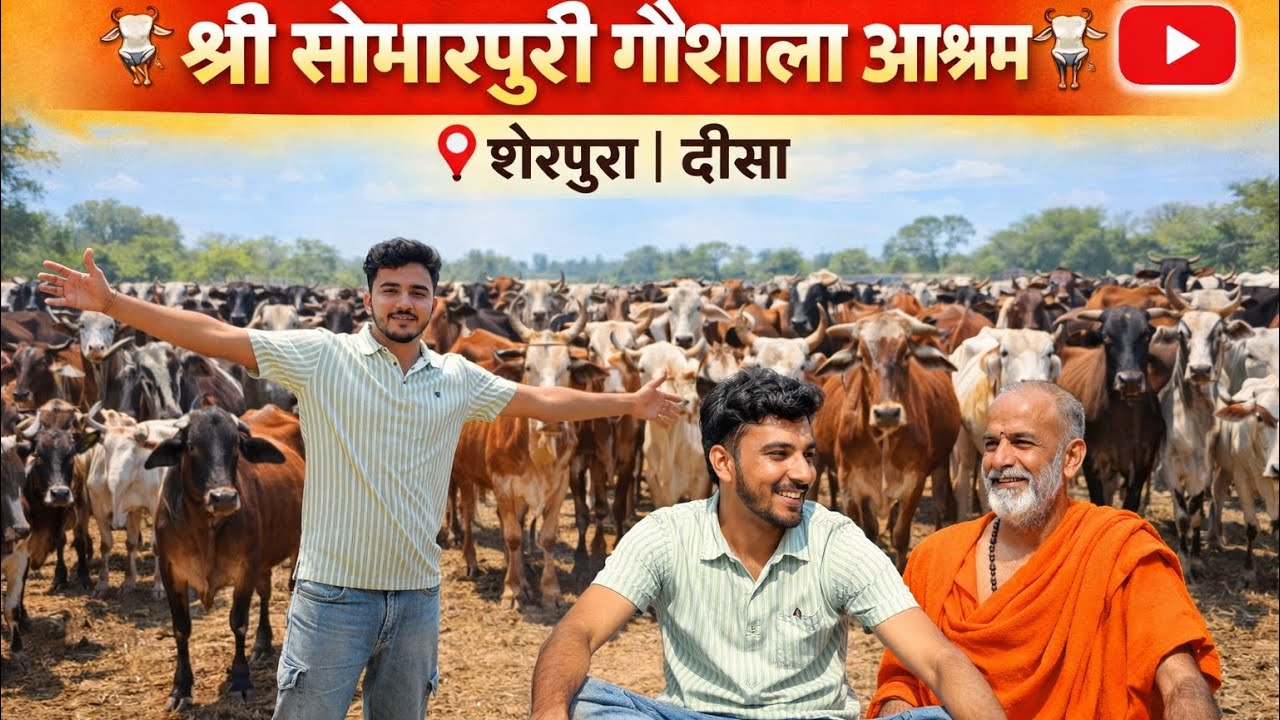 आज पहुंचे श्री सोमरपुरी गौशाला 🐄 | Deesa Vlog | Manav Atya Vlogs