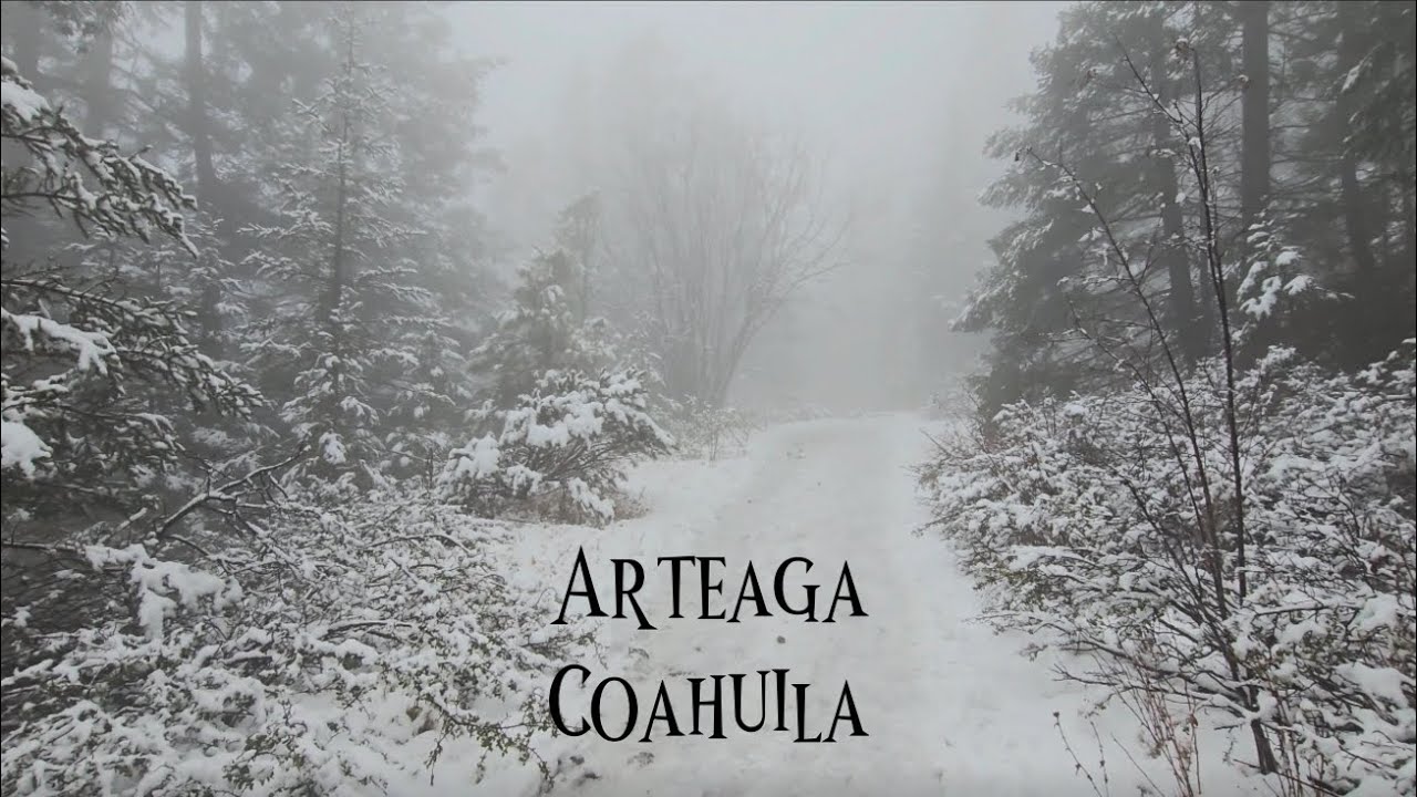 Hermosa y espectacular fue la primera nevada del año en Coahuila! #arteaga #coahuila #viajesmexico 