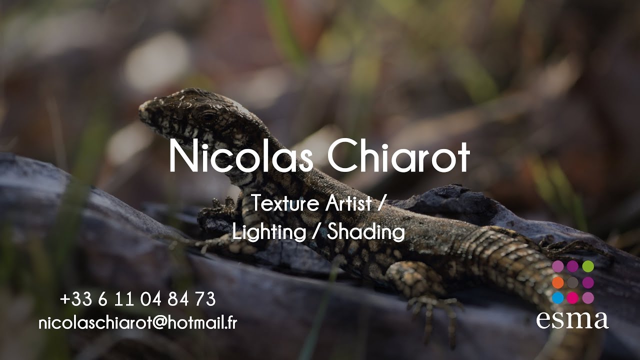 (Old) Nicolas Chiarot - Texture Artist Demoreel 2016