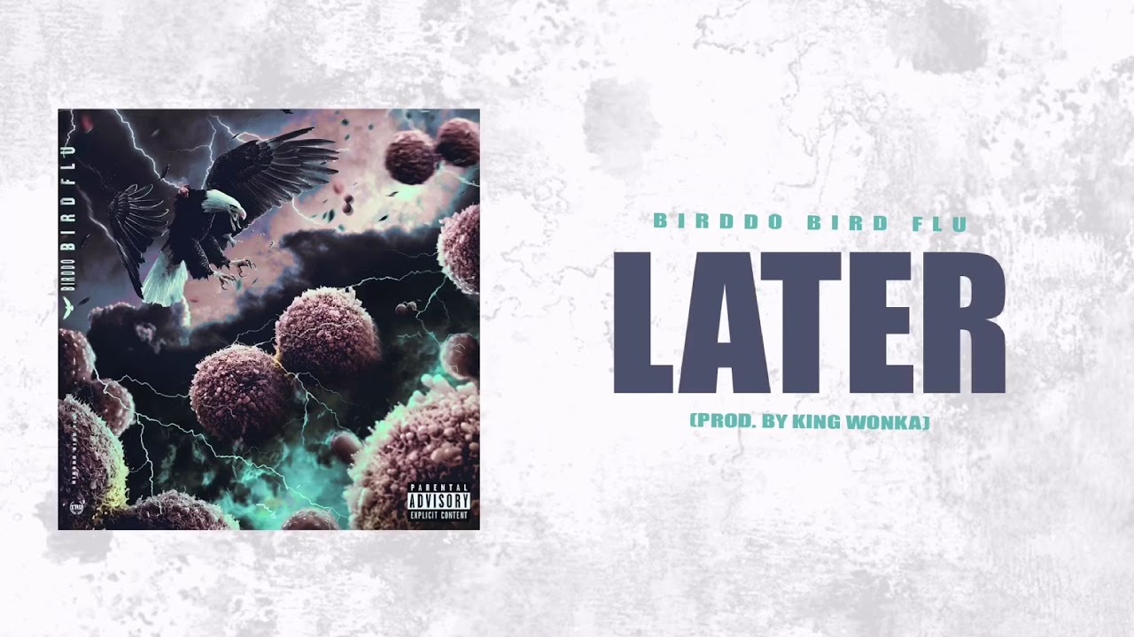 Birddo - Later