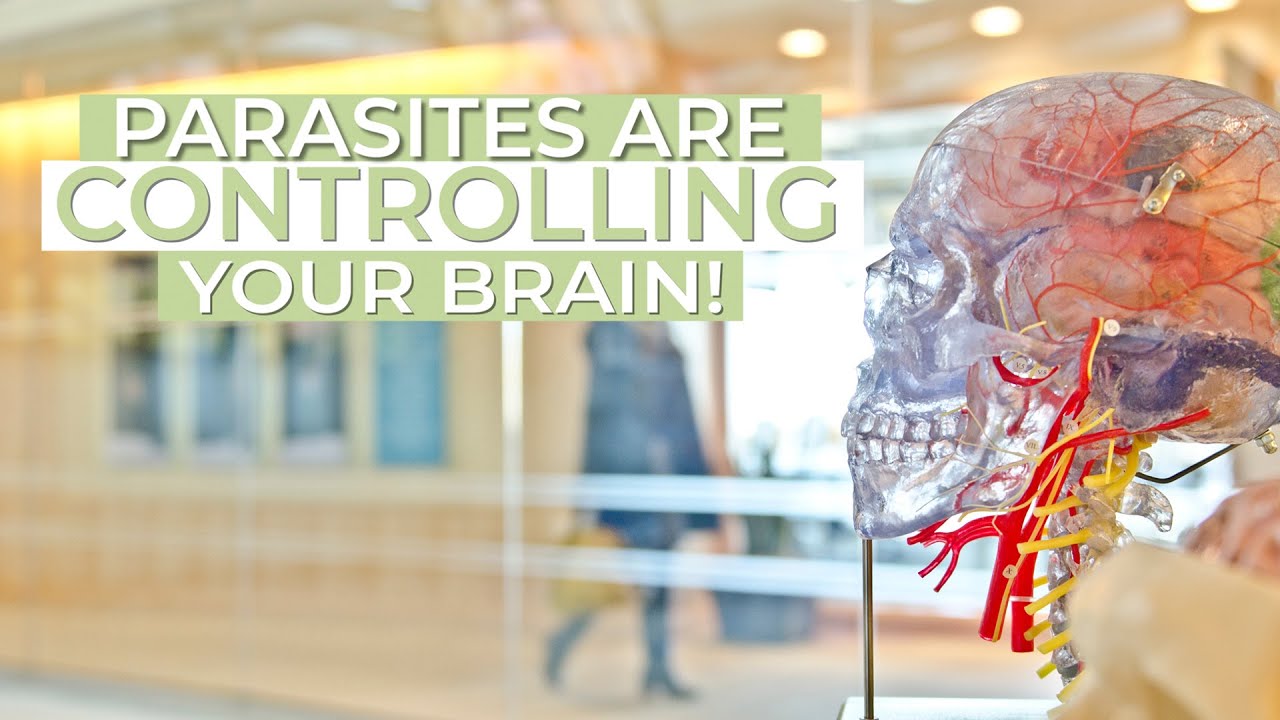 #408 Parasites & Mental Health - What Would I Do | Natural Health Podcast