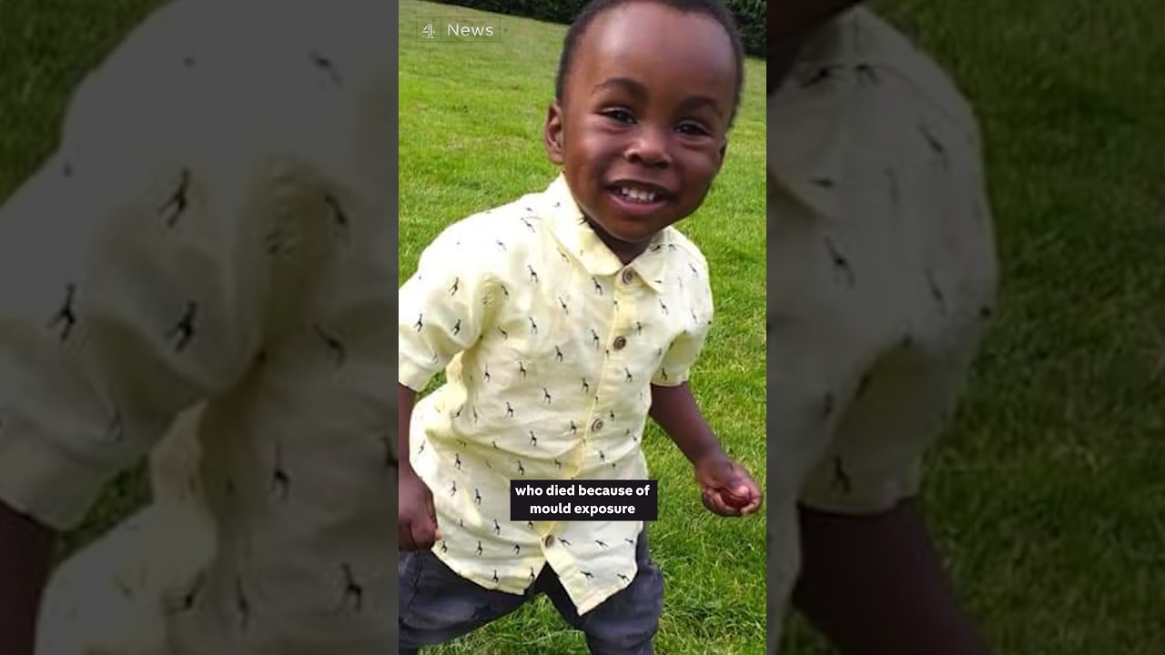 2 Year Old Dies From Toxic Mold #toxicmold #blackmold #shorts
