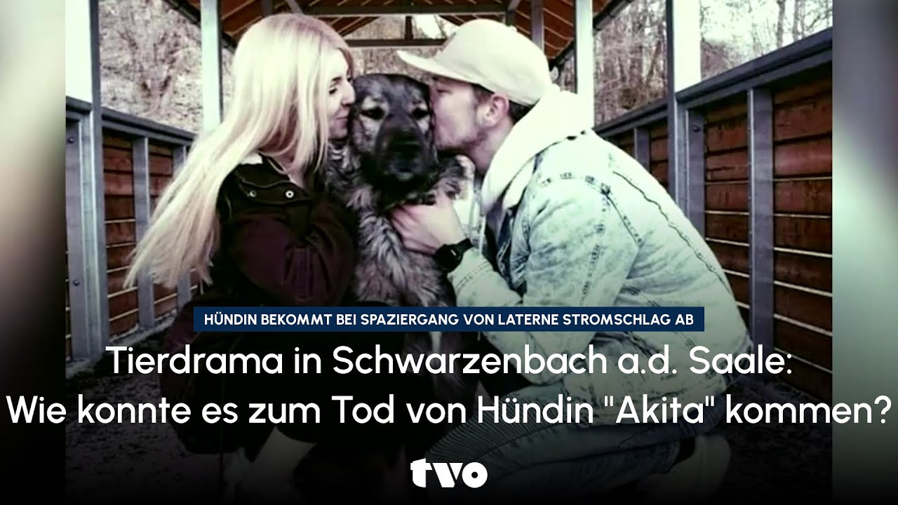 Tierdrama in Schwarzenbach a.d. Saale: Wie konnte es zum Tod von Hündin 
