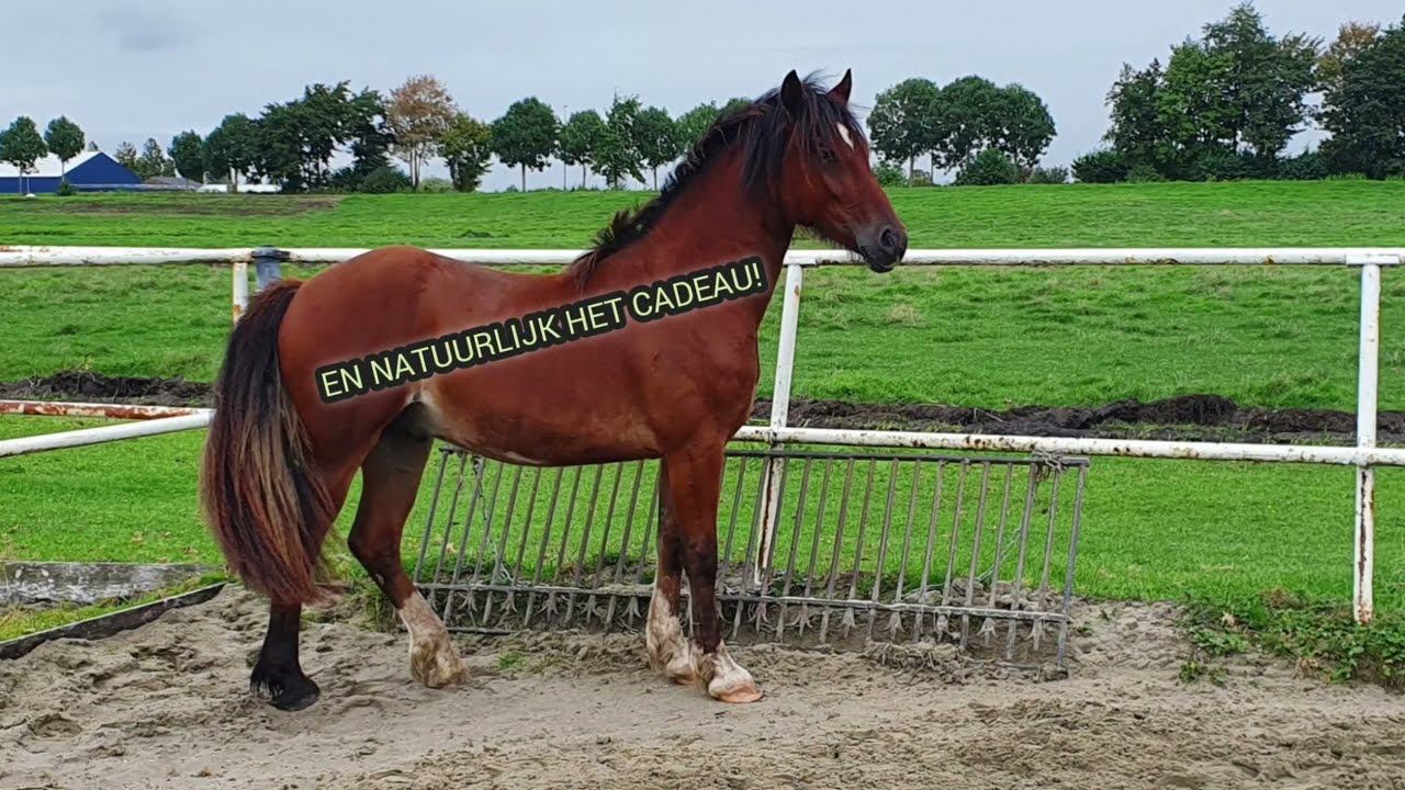Spoedcursus 