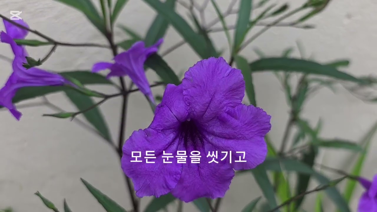 여호와 샬롬 (약속의 땅)