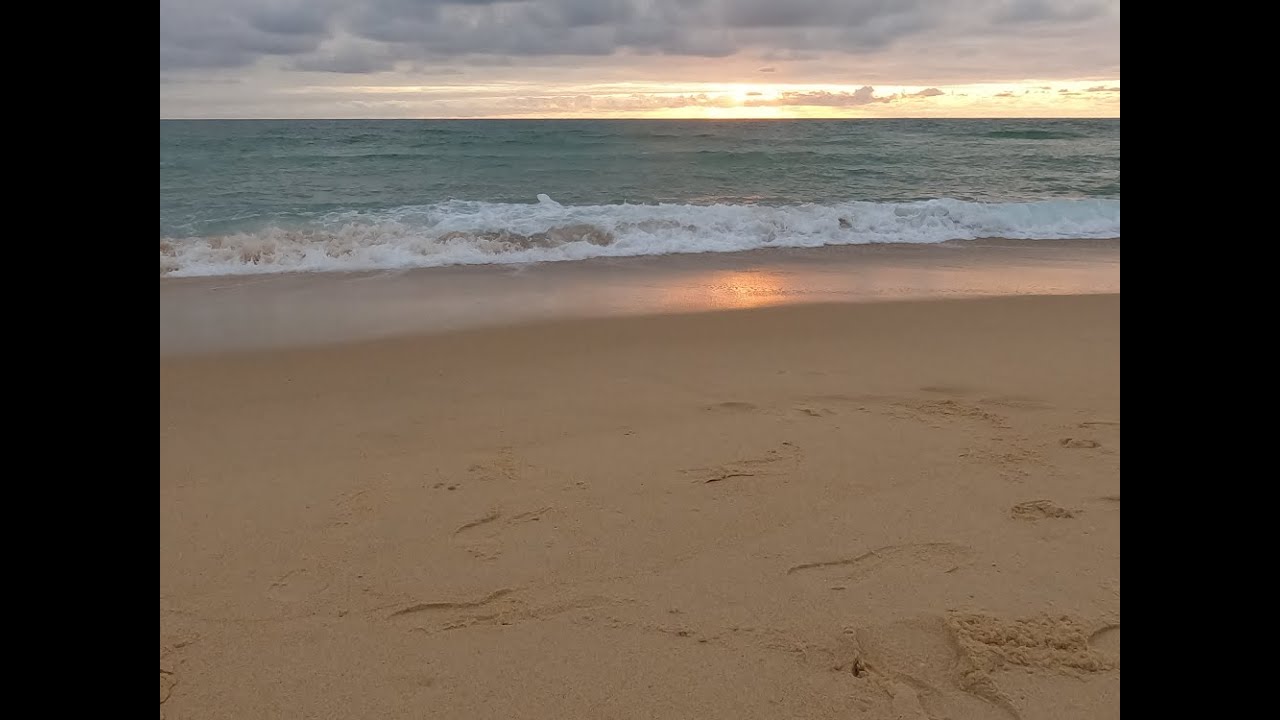 Contis Plage - Walking - Summer 2023 - Beach