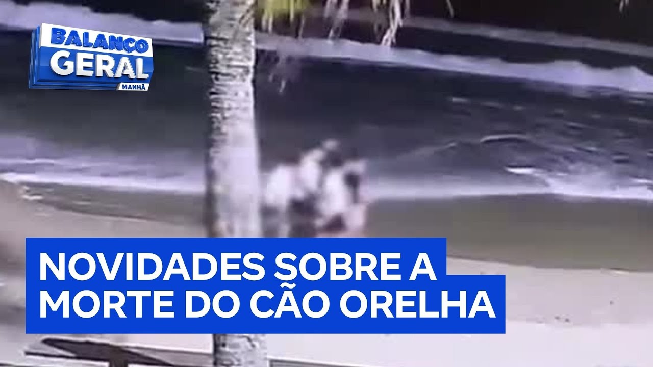 Morte do cão Orelha: menores acusados de maus-tratos devem desembarcar nesta quinta (29) em SP