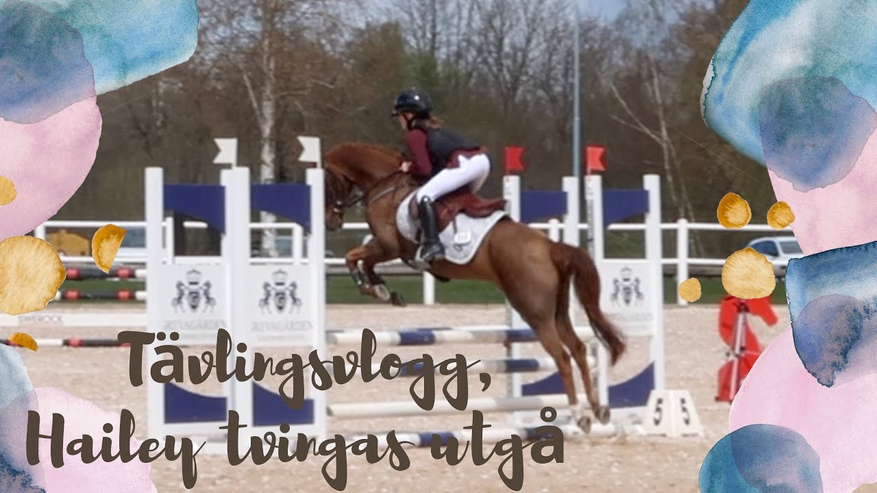 Hailey tvingas utgå med Dolly, men gör en toppenrunda med Nutty - tävlingsvlogg