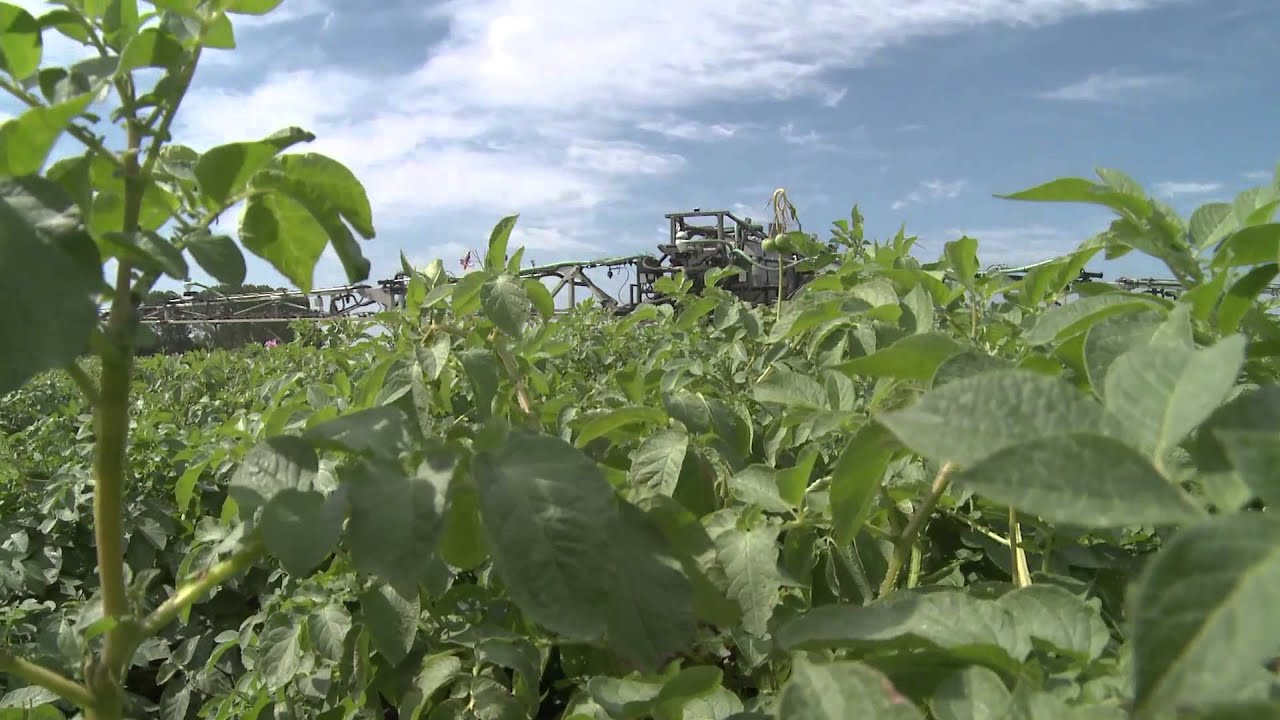 PJ Lee & Sons Crop Care
