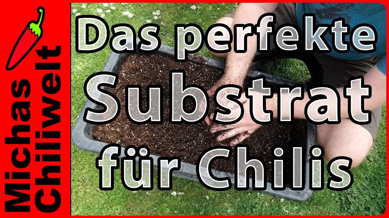 Das perfekte Substrat f&uuml;r Chilis  |  Erde selber mischen  |  D&uuml;nger  |  Umtopfen