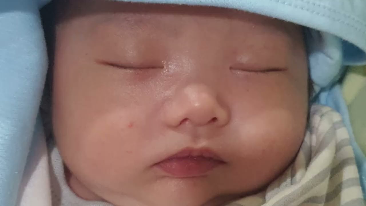 1달부터 2달까지 모습을 담은 영상입니다. This video shows the appearance from 1 month to 2 months.