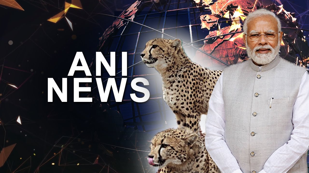 PM Modi launches Project Cheetah at Kuno National Park, Madhya Pradesh | Source: DD