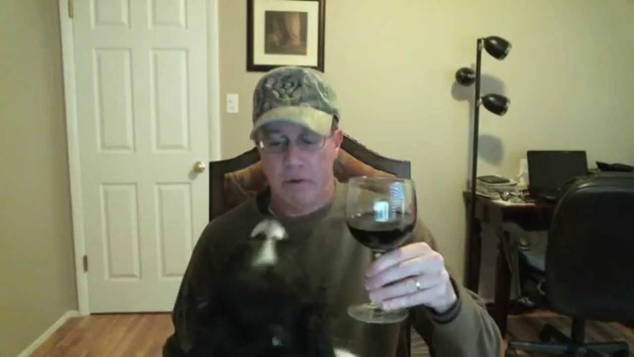 Dog Trainer Tells How A Puppy Did $20,000 Worth Of Damage To A Kitchen!