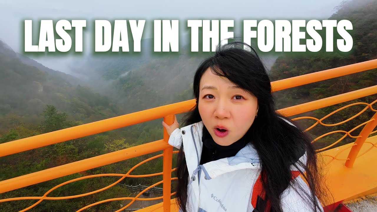 China Travel 2025｜Hidden Views of Shennongjia | Hongping Gallery & Tianyan, Hubei Ep5