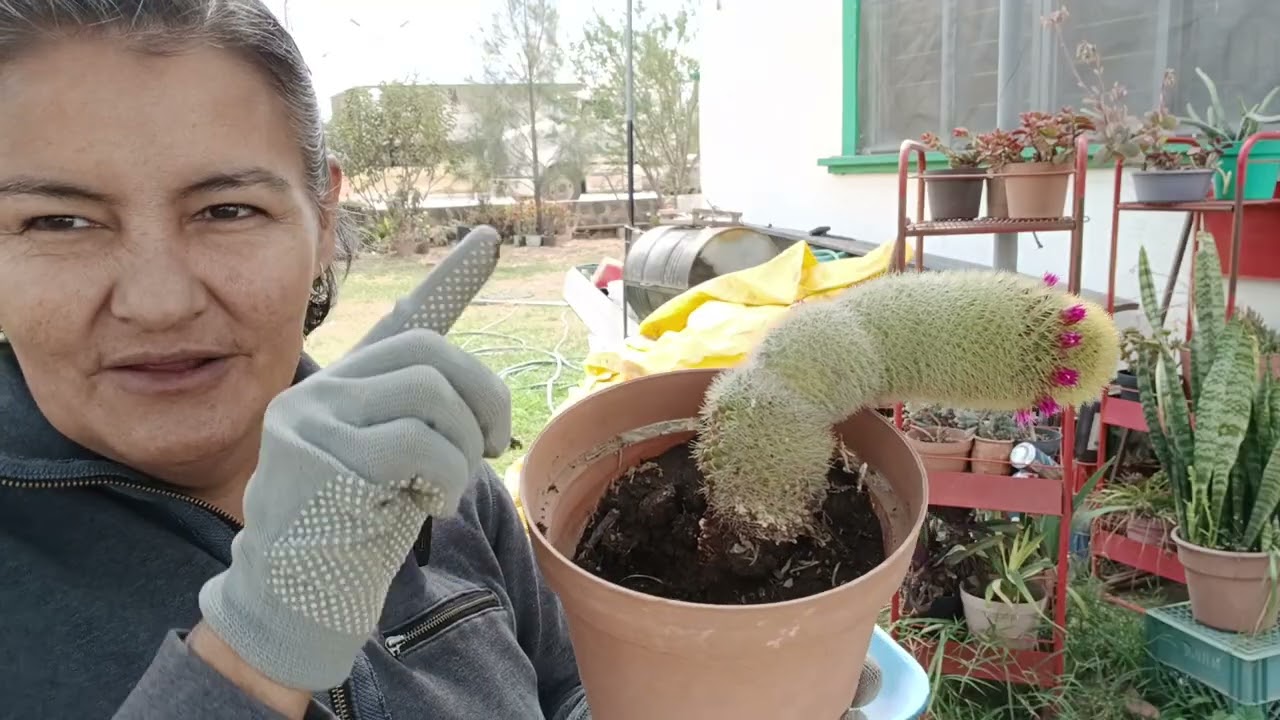 Y sigo con mis captus. Parte 2