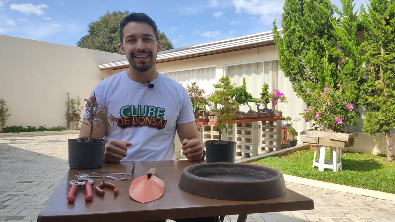 Como ENGROSSAR o tronco do BONSAI.