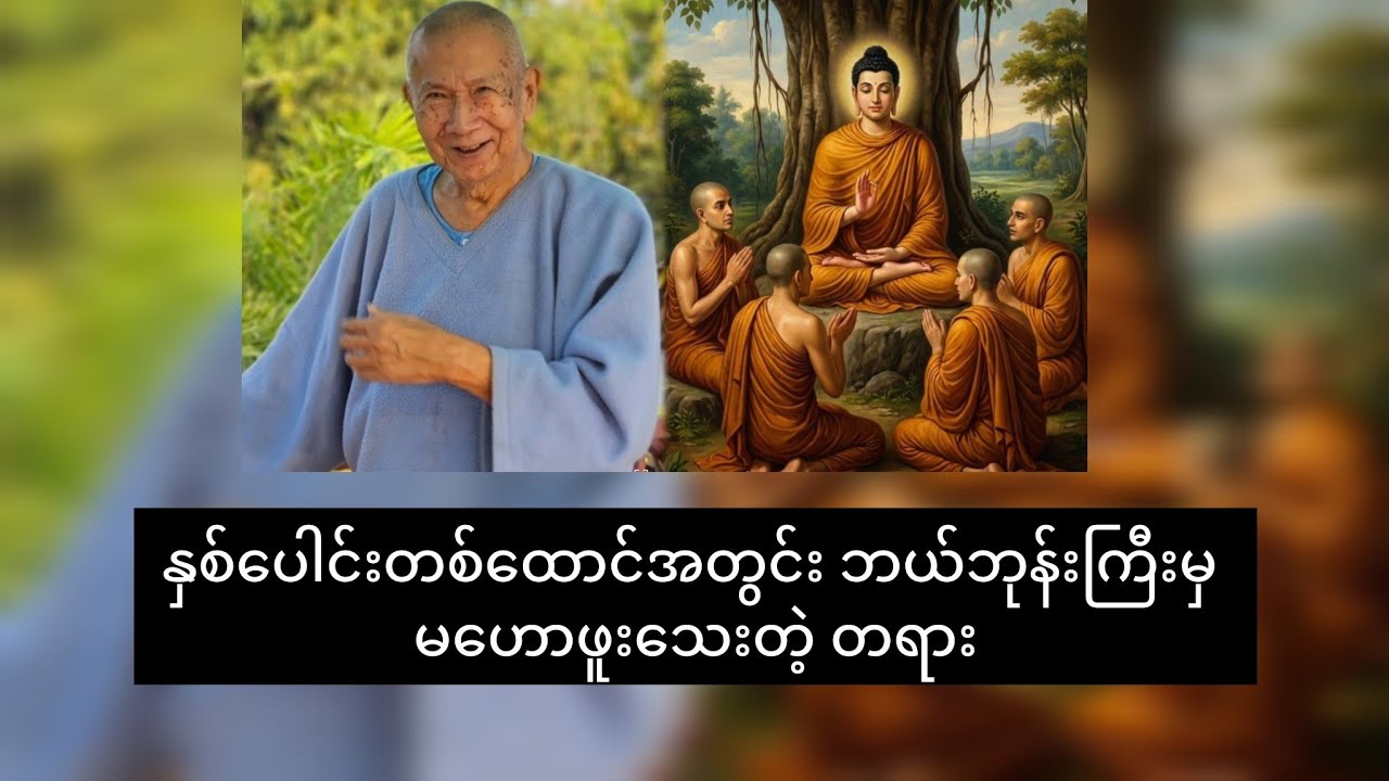 အရှင်ဉာဏဟောတဲ့ ဝိဇ္ဇာထိပ်ခေါင် ယက္ကန်းစင်တောင်ဆရာတော်အကြောင်း