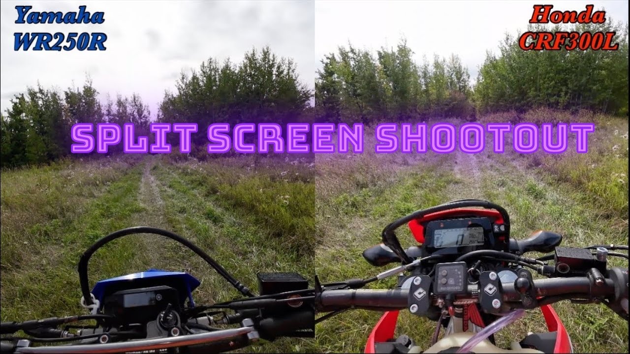 WR250R vs CRF300L - Ultimate Dual Sport Woods Showdown