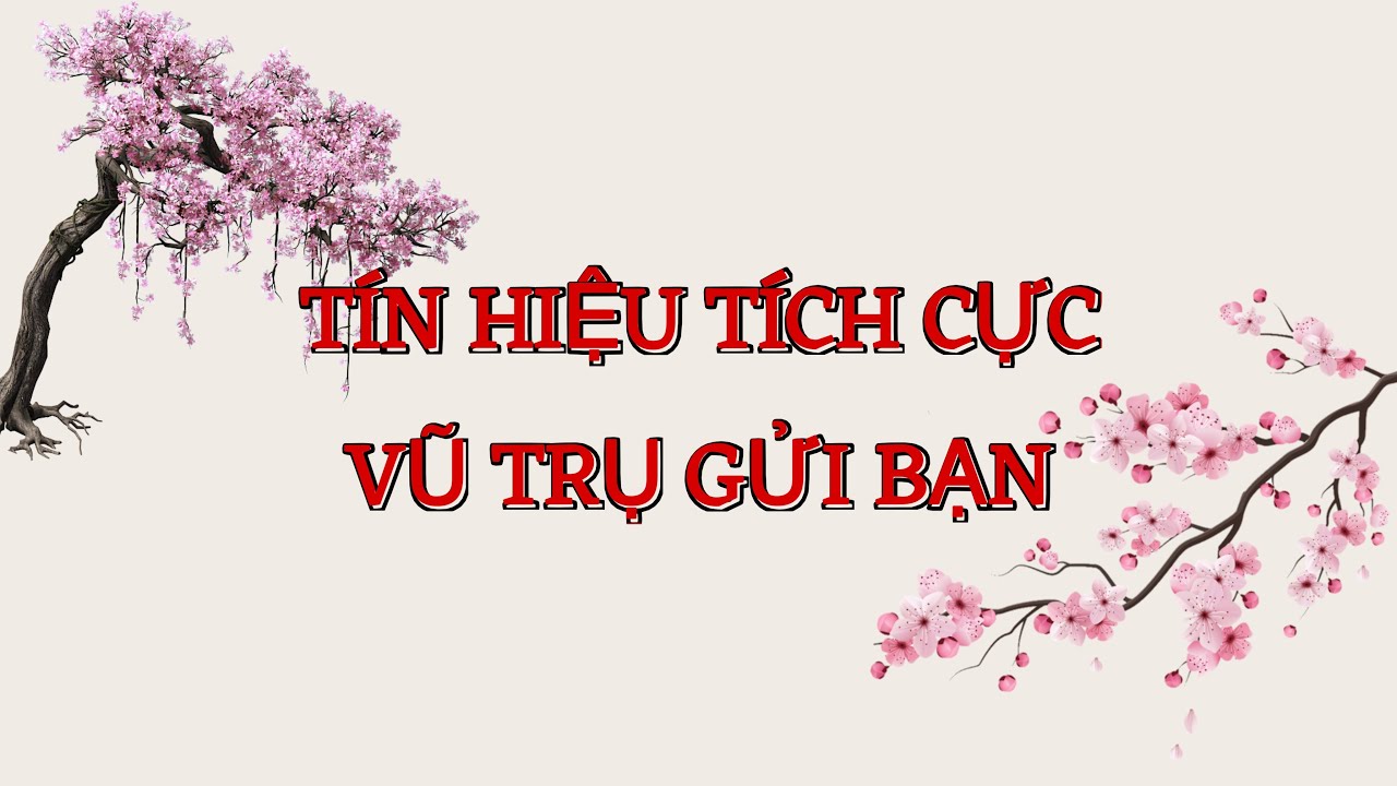 TÍN HIỆU TÍCH CỰC MÀ VŨ TRỤ GỬI ĐẾN BẠN 🍀🌏🎊 #61