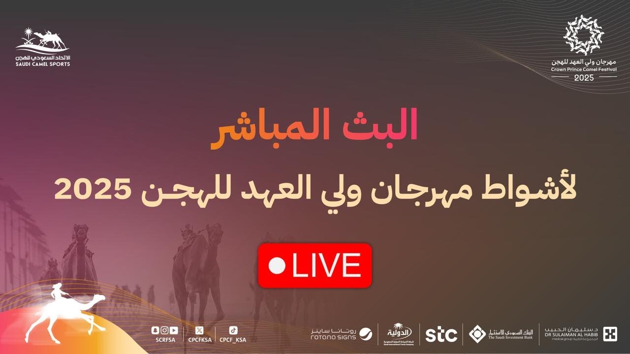 الأشواط المسائية لفئة (الجذاع) #مهرجان_ولي_العهد_للهجن 2025