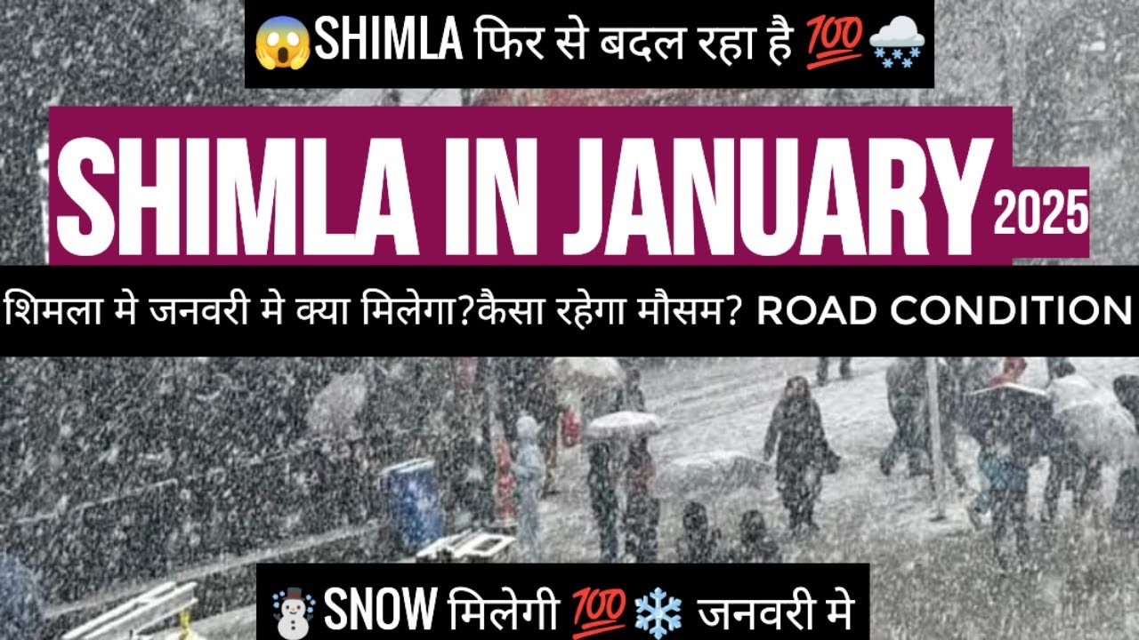 Shimla in January | snowfall in shimla | snow | kufri in january | shimla snowfall today
