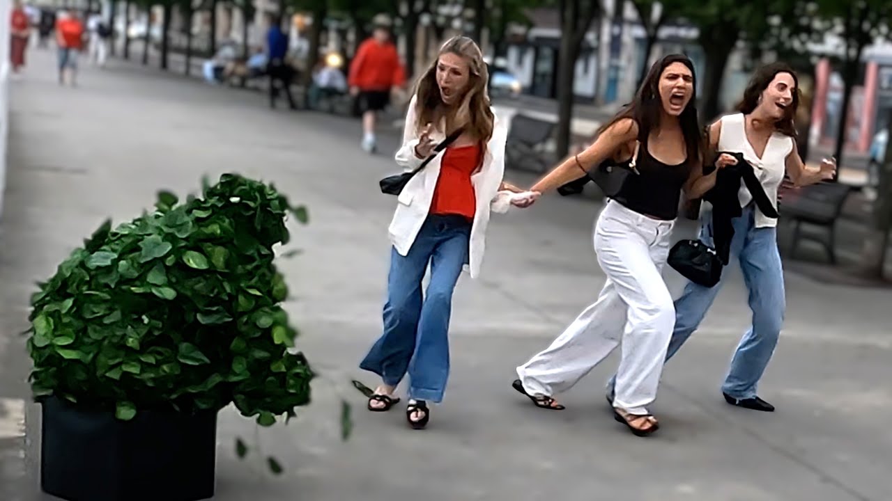 Bushman prank: funny scares in Spain // broma hombre arbusto