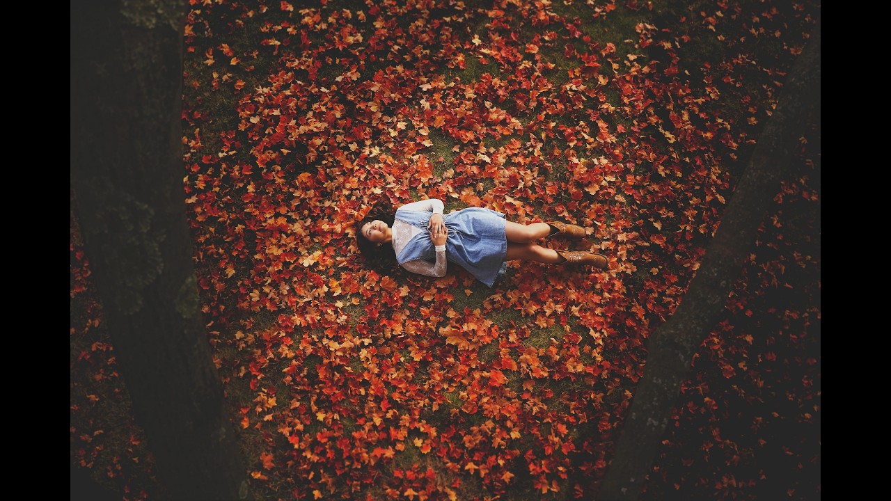 Behind the Scenes, Tree Shot, Senior Portrait