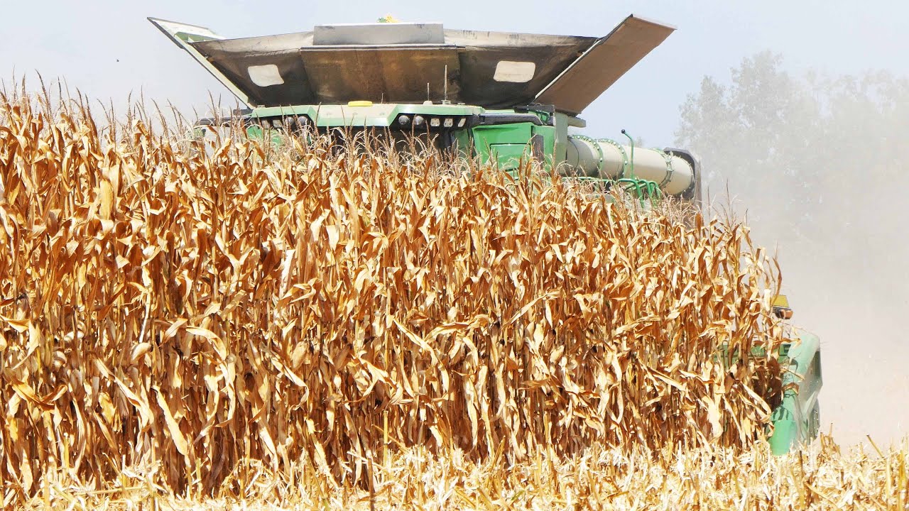 CORN HARVEST in Kentucky with two John Deere X9 1100 Combines | Full Speed Harvest
