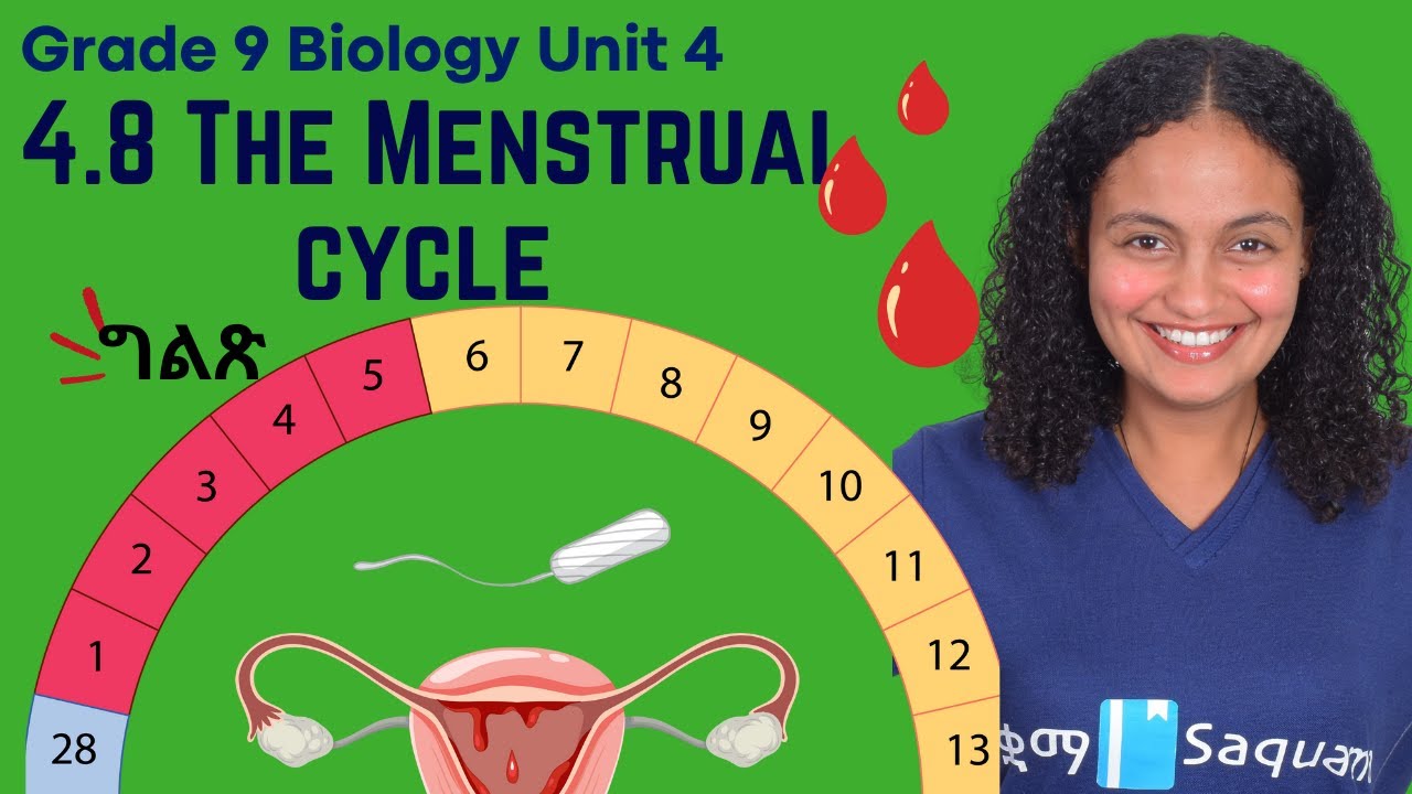 Grade 9 Biology Unit 4:4.8 The Menstrual cycle|Saquama