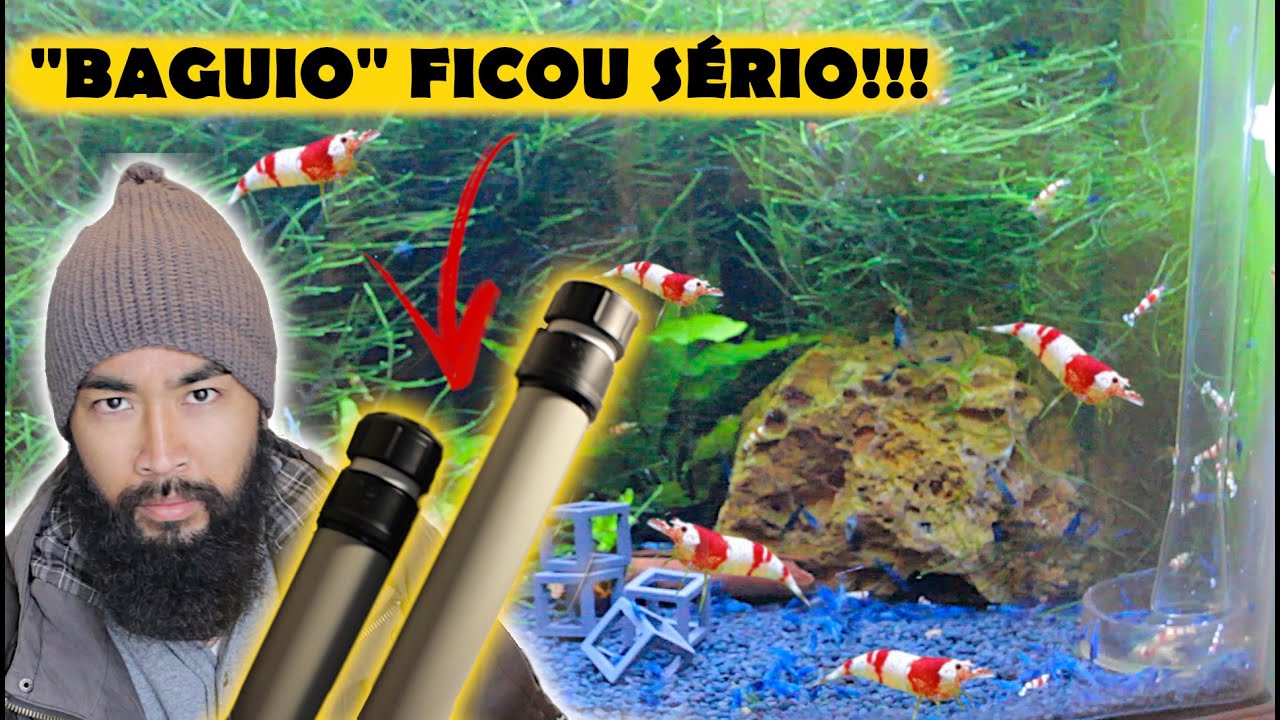 COMPREI UM FILTRO DEIONIZADOR para meu AQUÁRIO DE CAMARÃO!!!